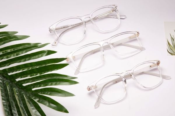 Transparent Frame Glasses Trend 2022 Koalaeye Optical