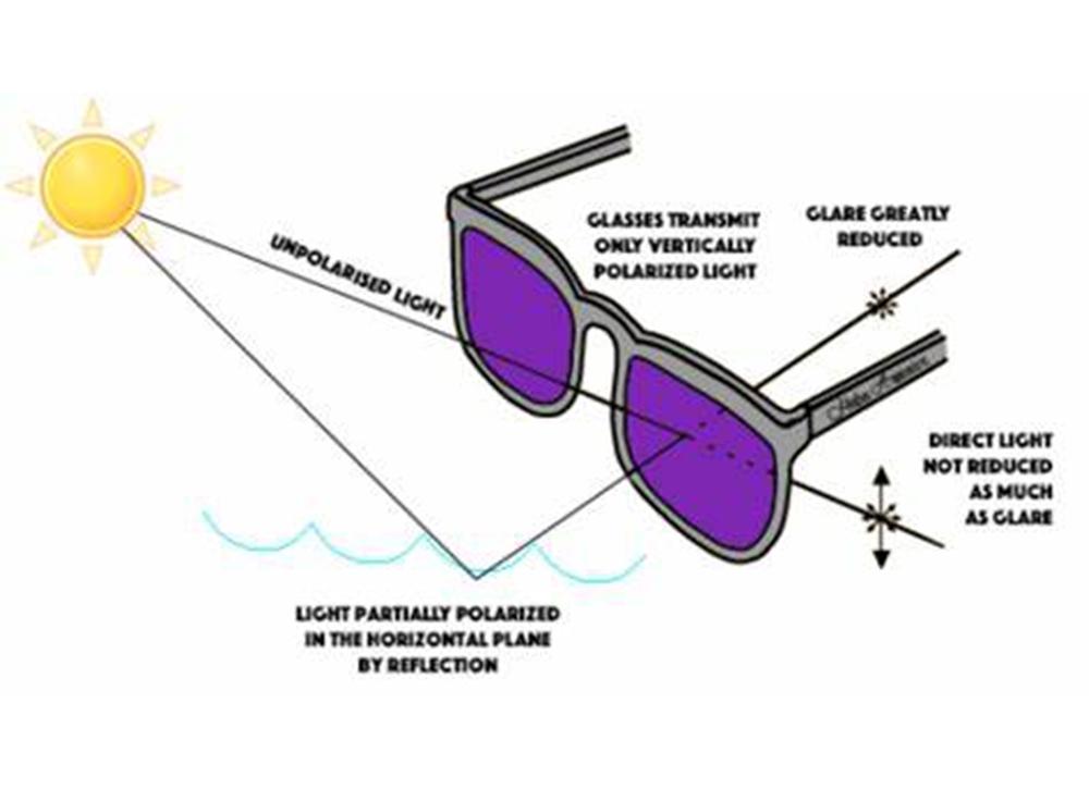 How Do Polarized Sunglasses Work Carfia Optical how-do-polarized-sunglasses-work-carfia-optical