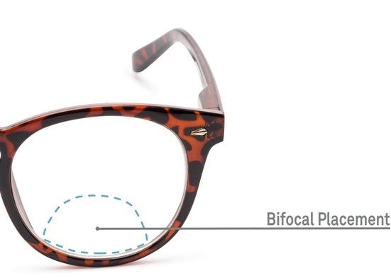 Why Do I Need Bifocal Reading Glasses KOALAEYE